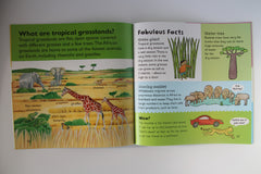 Ladybird First Fabulous Facts 4 Books Set