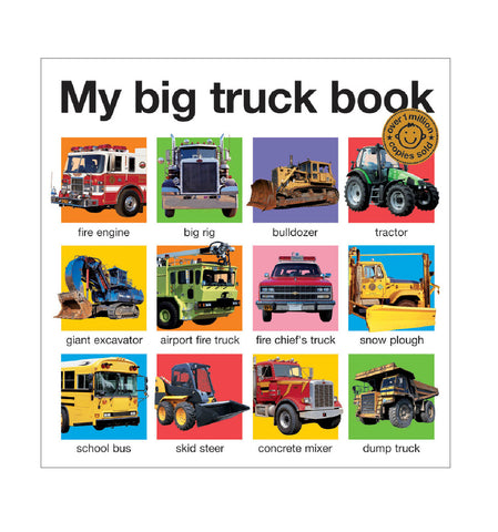 Roger Priddy's My Big Truck Book