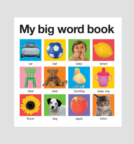 Roger Priddy's My Big Word Book