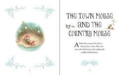 Usborne Animal Stories for Bedtime (Hardback)