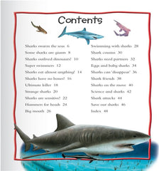 100 Facts Sharks (Paperback)