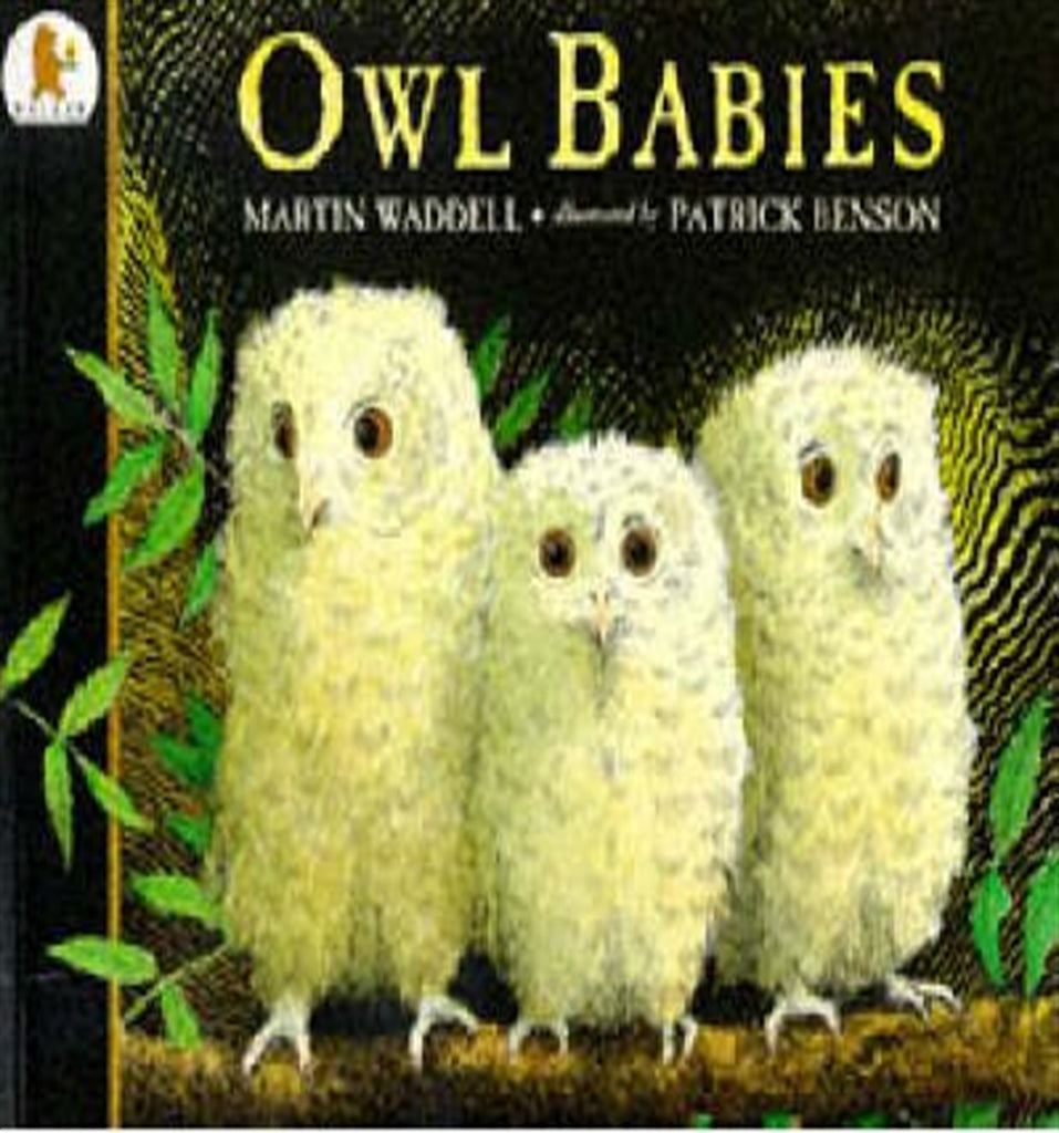 Owl Babies by Waddell, Martin (April 1, 2002) Paperback: Martin