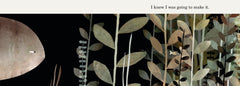 This is Not My Hat by Jon Klassen
